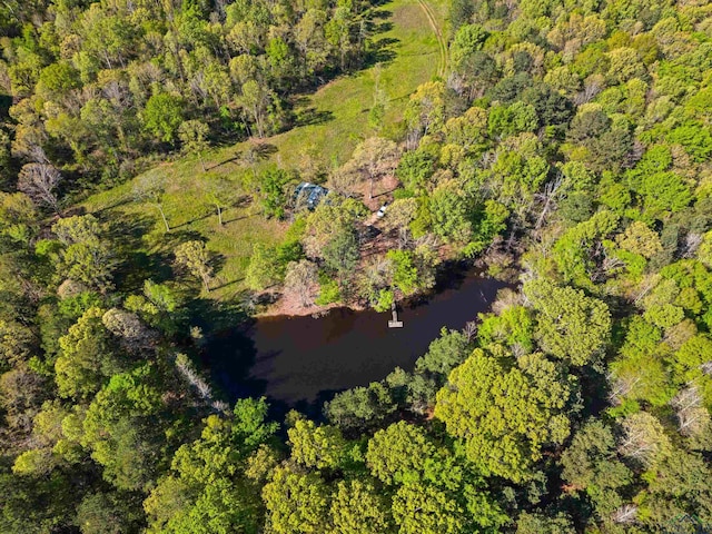 TBD County Road 163, Long Branch, TX 75669 - photo 5