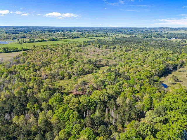 TBD County Road 163, Long Branch, TX 75669 - photo 19
