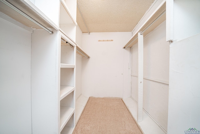 walk in closet featuring light colored carpet