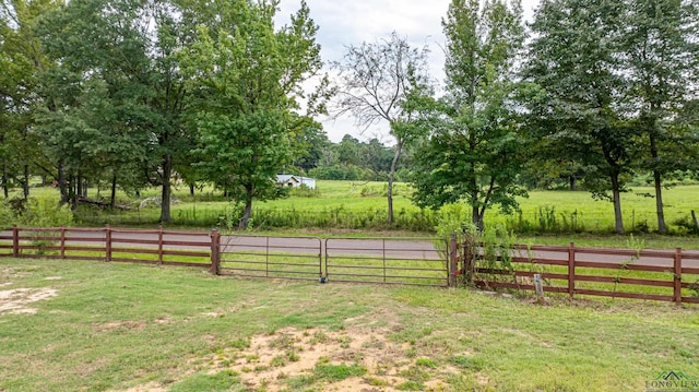 view of yard featuring a rural view