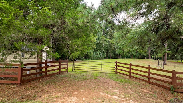 view of yard with a rural view