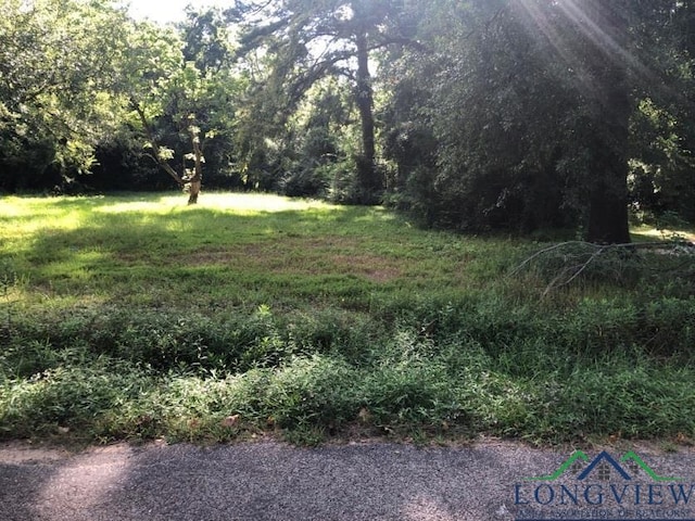 1104 Hutchings Blvd, Longview TX, 75602 land for sale