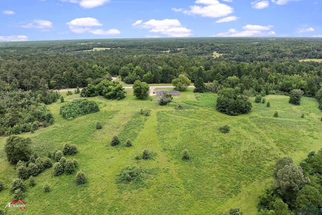 8697 S Fm 839, Laneville, TX 75667 - photo 24