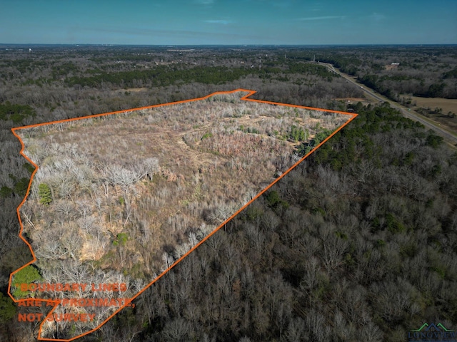 TBD U.S. Highway 259, Kilgore TX, 75662 land for sale