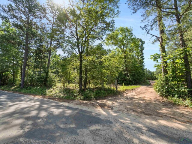 9615 Aspen Trl, Big Sandy, TX 75755 - photo 4