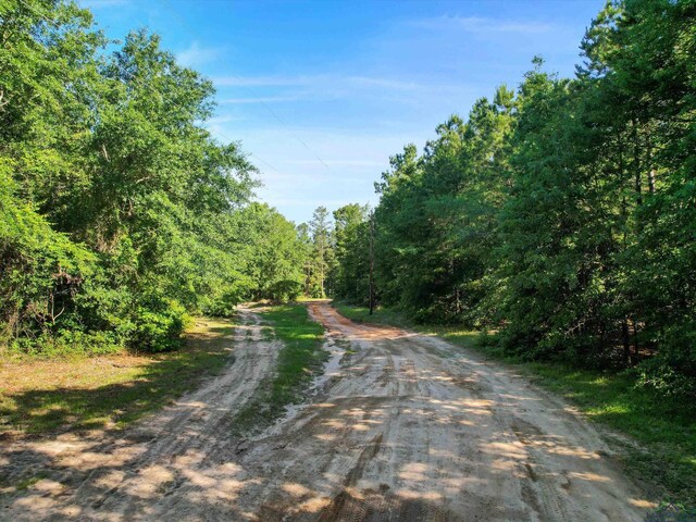 9615 Aspen Trl, Big Sandy, TX 75755 - photo 27