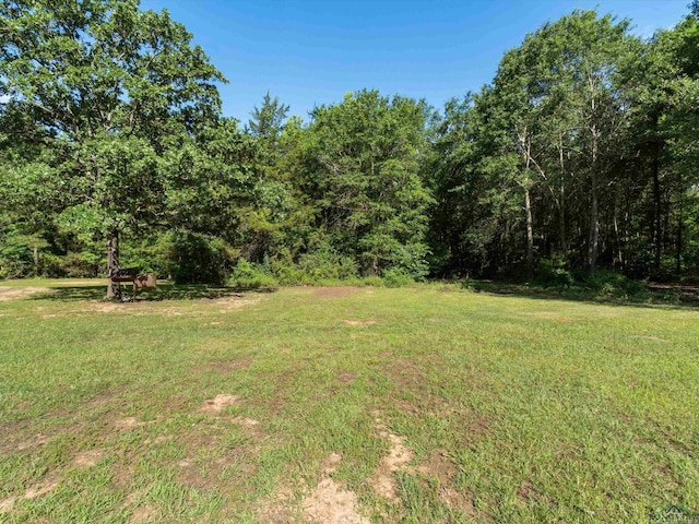 9615 Aspen Trl, Big Sandy, TX 75755 - photo 6