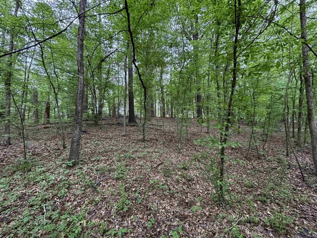 TBD W Oakwood Dr, Gilmer, TX 75645 - photo 3