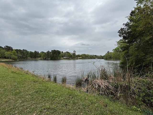 TBD W Oakwood Dr, Gilmer, TX 75645 - photo 7