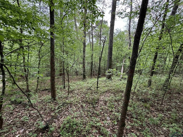 TBD W Oakwood Dr, Gilmer, TX 75645 - photo 4