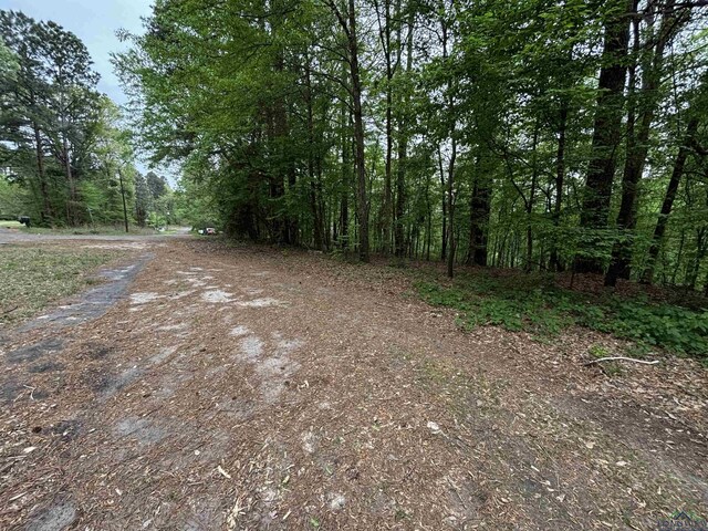 TBD W Oakwood Dr, Gilmer, TX 75645 - photo 5