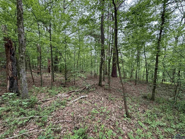 TBD W Oakwood Dr, Gilmer, TX 75645 - photo 2
