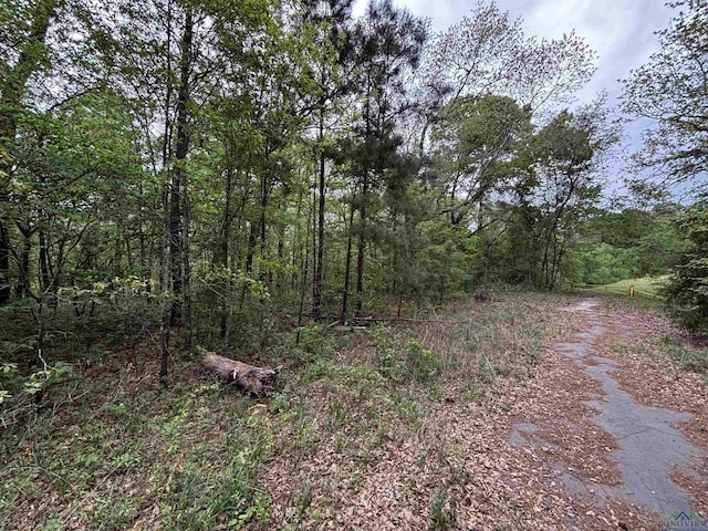 TBD W Oakwood Dr, Gilmer, TX 75645 - photo 1