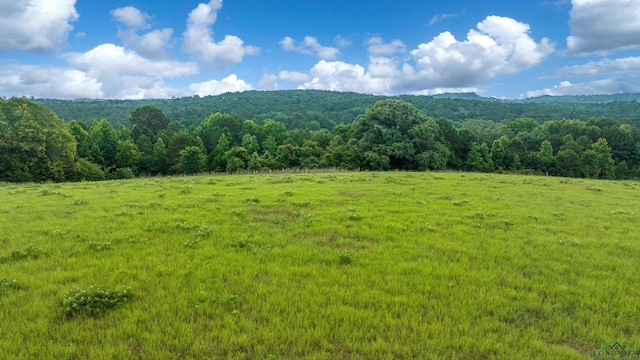 TBD Timberlake Ranch Rd, Hallsville, TX 75650