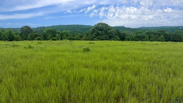 TBD Timberlake Ranch Rd, Hallsville, TX 75650