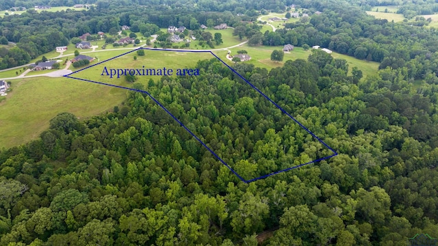 TBD Timberlake Ranch Rd, Hallsville, TX 75650