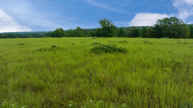 TBD Timberlake Ranch Rd, Hallsville, TX 75650