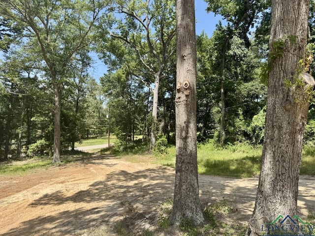 1856 Sam Page Rd, Longview, TX 75605 - photo 1
