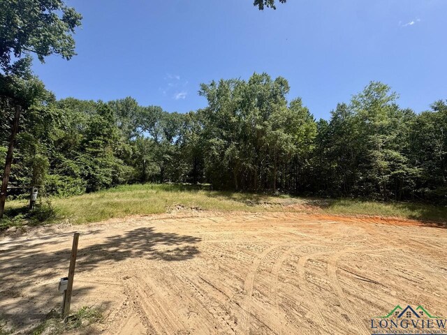 1856 Sam Page Rd, Longview, TX 75605 - photo 4