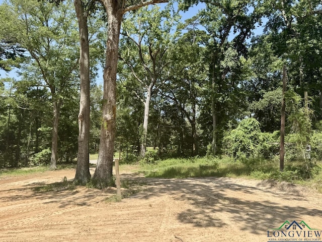 1856 Sam Page Rd, Longview, TX 75605 - photo 2