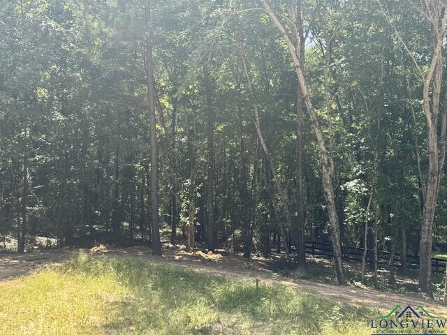 1856 Sam Page Rd, Longview, TX 75605 - photo 10