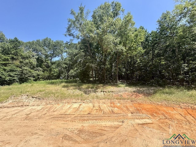 1856 Sam Page Rd, Longview, TX 75605 - photo 6