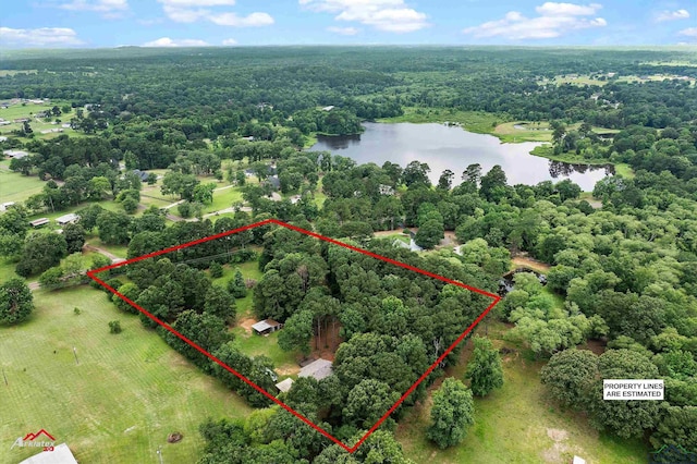 4501 Fm 1650, Gilmer, TX 75645 - aerial overview of property's location featuring a large body of water, a heavily wooded area, and property boundaries highlighted