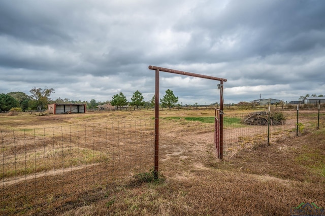 view of yard with a rural view