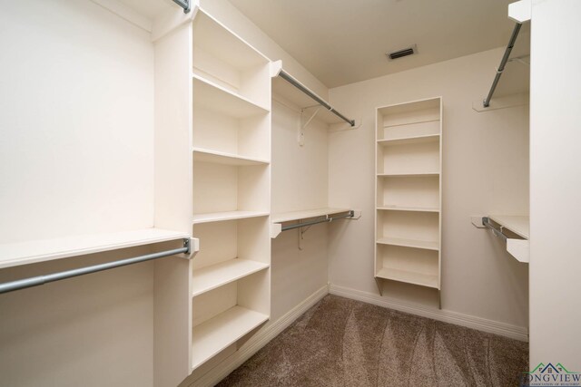 walk in closet featuring carpet floors and visible vents