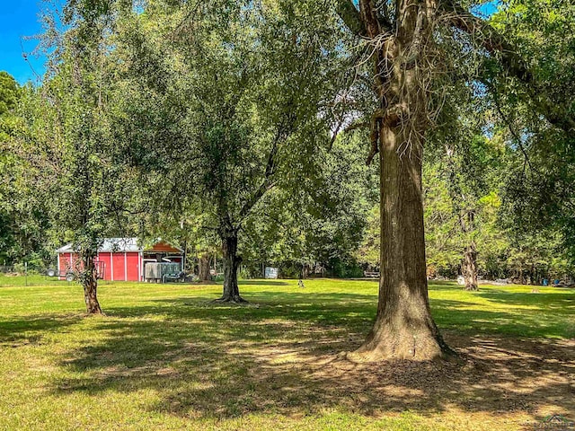 8227 N Kings Hwy, Texarkana, TX 75503 - view of grassy yard featuring an outbuilding