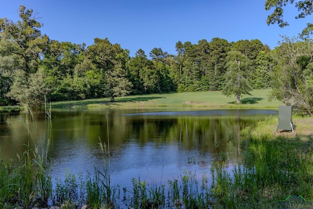 water view