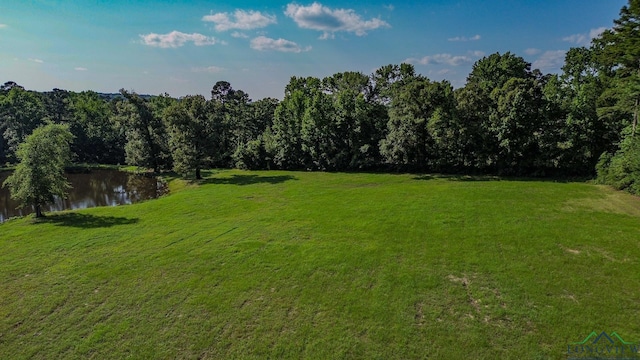 view of yard featuring a water view