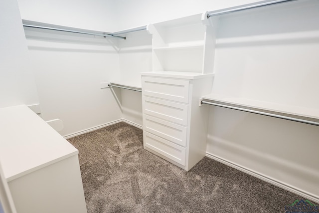 spacious closet featuring dark carpet