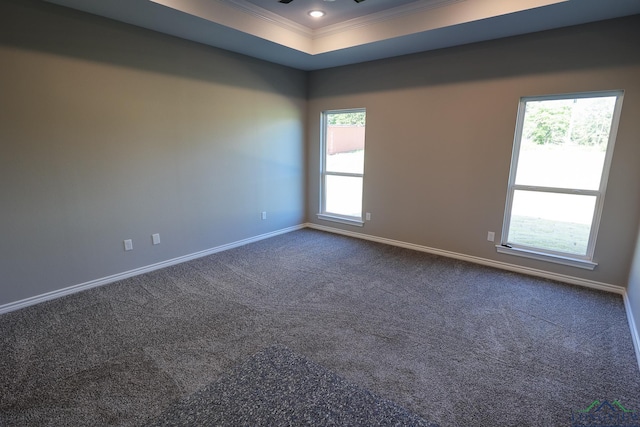 carpeted spare room with ceiling fan, a raised ceiling, and crown molding