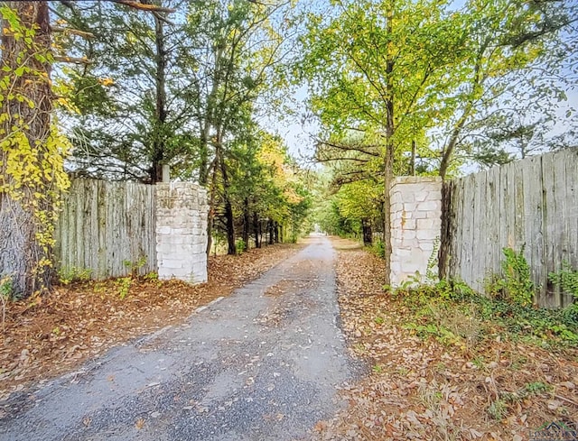 2495 N Fm 312, Winnsboro, TX 75494 - view of road