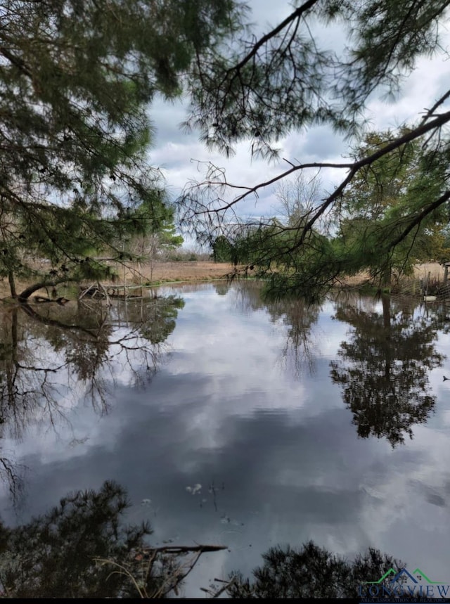 2495 N Fm 312, Winnsboro, TX 75494 - property view of water