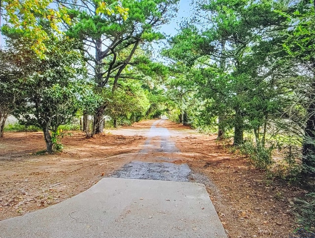 2495 N Fm 312, Winnsboro, TX 75494 - view of road