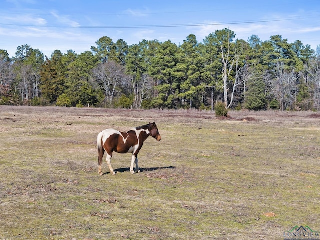 view of yard with a rural view