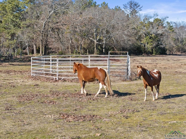 view of stable with a rural view