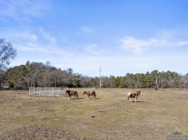 view of yard featuring a rural view