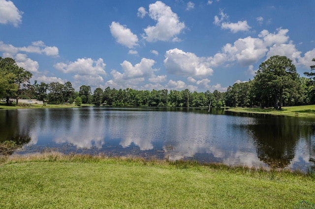 property view of water with a forest view