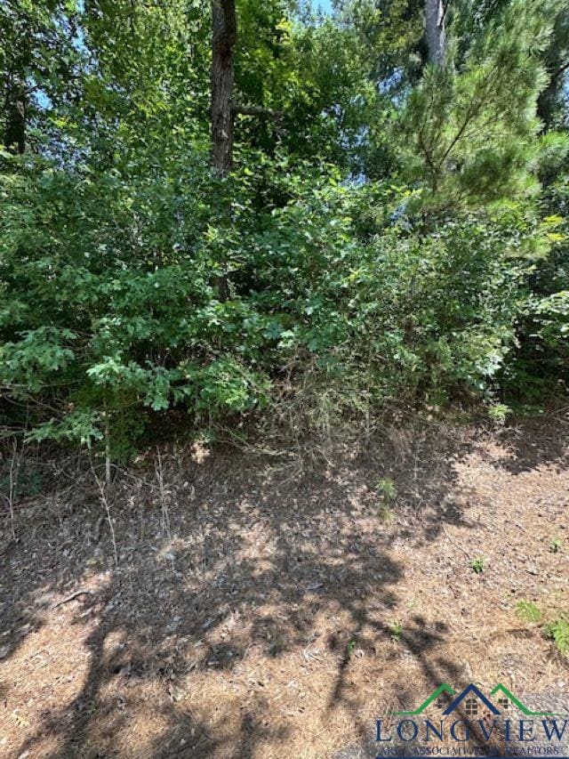 TBD E Lake Devernia, Longview, TX 75604 - photo 12