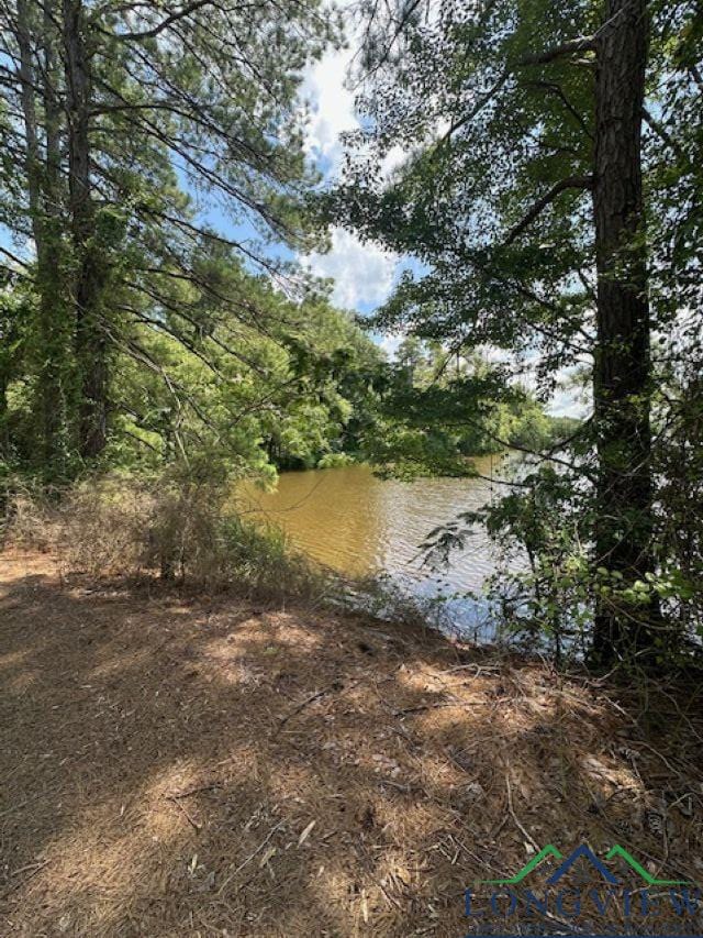 TBD E Lake Devernia, Longview, TX 75604 - photo 3