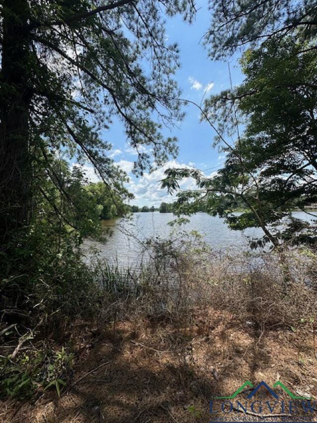 TBD E Lake Devernia, Longview, TX 75604 - photo 2