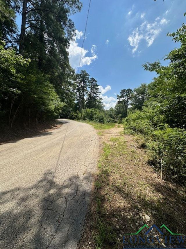 TBD E Lake Devernia, Longview, TX 75604 - photo 7