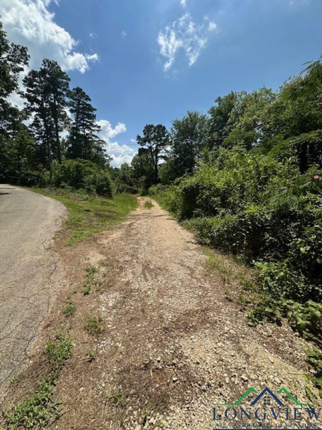 TBD E Lake Devernia, Longview, TX 75604 - photo 8