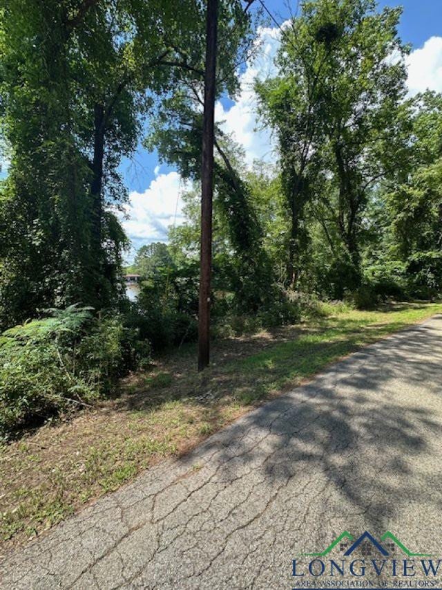 TBD E Lake Devernia, Longview, TX 75604 - photo 4