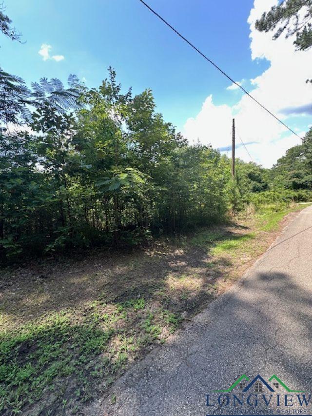 TBD E Lake Devernia, Longview, TX 75604 - photo 9