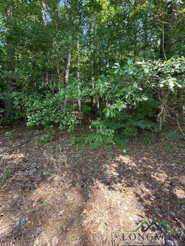 TBD E Lake Devernia, Longview, TX 75604 - photo 10