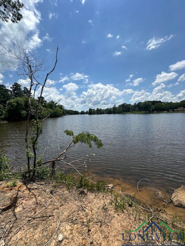 TBD E Lake Devernia, Longview, TX 75604 - photo 15